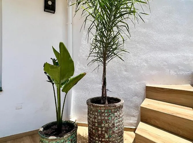 Tatil Evi Karibu & Pool Marbella