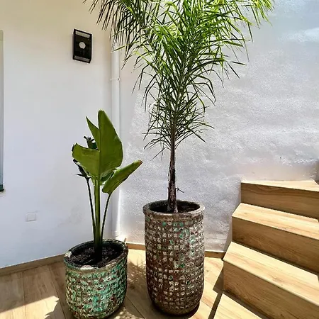 Vakantiehuis Karibu & Pool Marbella